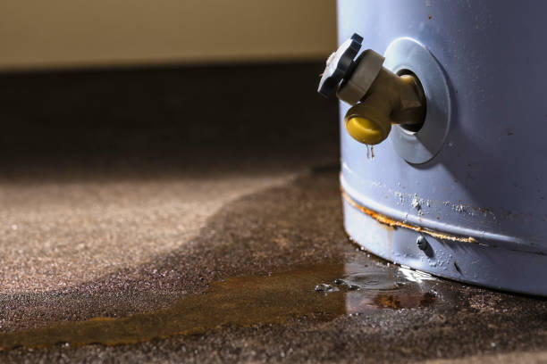 Best 24-hour water damage restoration  in Ephraim, UT