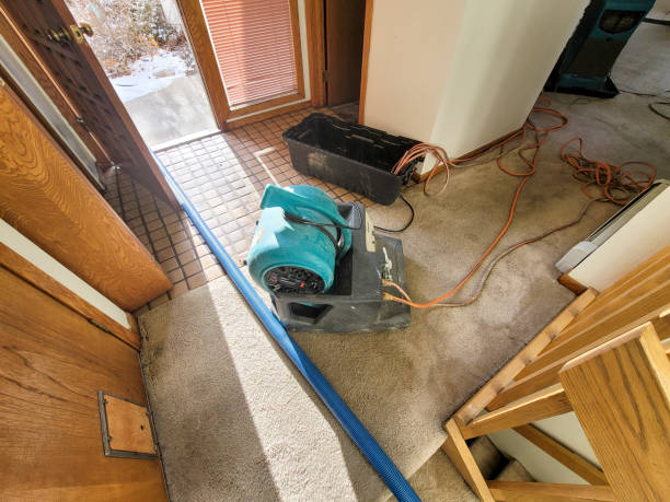 Best Professional water damage repair  in Ephraim, UT