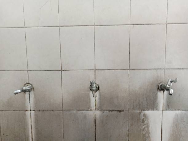 Best Water damage cleanup near me  in Ephraim, UT