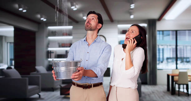 Best Water damage mitigation services  in Ephraim, UT