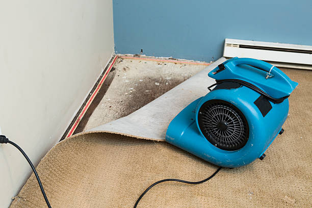 Best Water damage cleanup near me  in Ephraim, UT